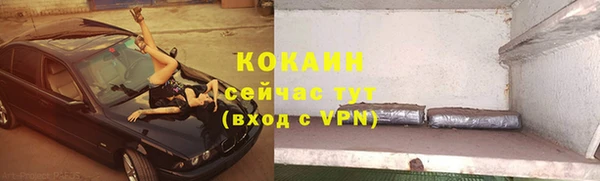 дурь Алексин