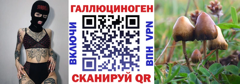 купить наркотики цена  Мирный  Галлюциногенные грибы мицелий 