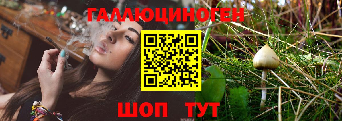Псилоцибиновые грибы Cubensis  Вход с VPN  Мирный 
