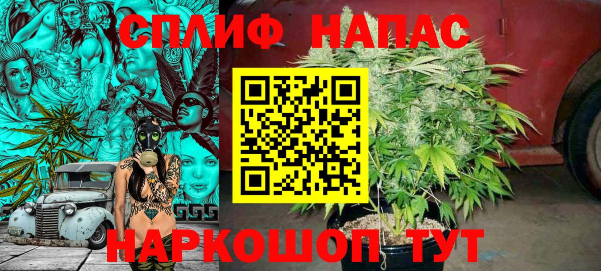Марихуана план  Марихуана White Widow  Мирный  Бошки марихуана Amnesia  Вход с VPN 